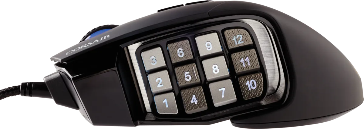 77740647_9585504803