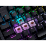 96077278_2661037619