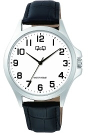 Q&q Gent Only Time (C36A-013PY) Men's Watch