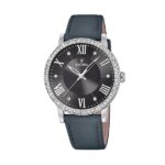 Festina Watches F20412/4 (F20412_4)  Watch