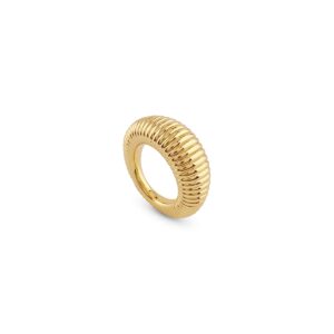 Guess Jewels Jewelry Jubr05336jwyg56 (JUBR05336JWYG56)  JEWELRY