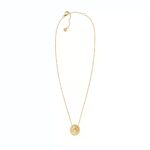 Skagen Denmark Jewels Jewelry Skj1750710 (SKJ1750710)  JEWELRY