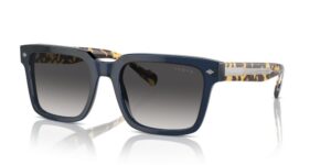 Vogue Vo 5573s (VO 5573S_31438G_55) Men's EYEWEAR