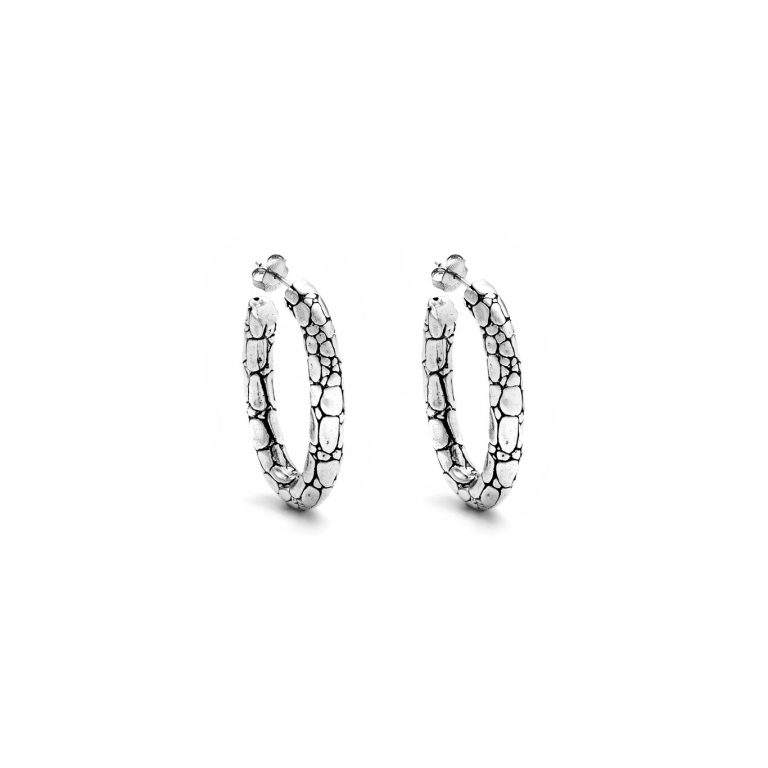 Raspini Jewels Women's Earrings (07338)