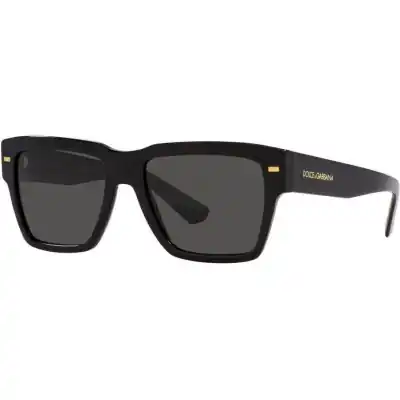 Dolce & Gabbana 0dg4431 (0DG4431_501-87_55) Men EYEWEAR