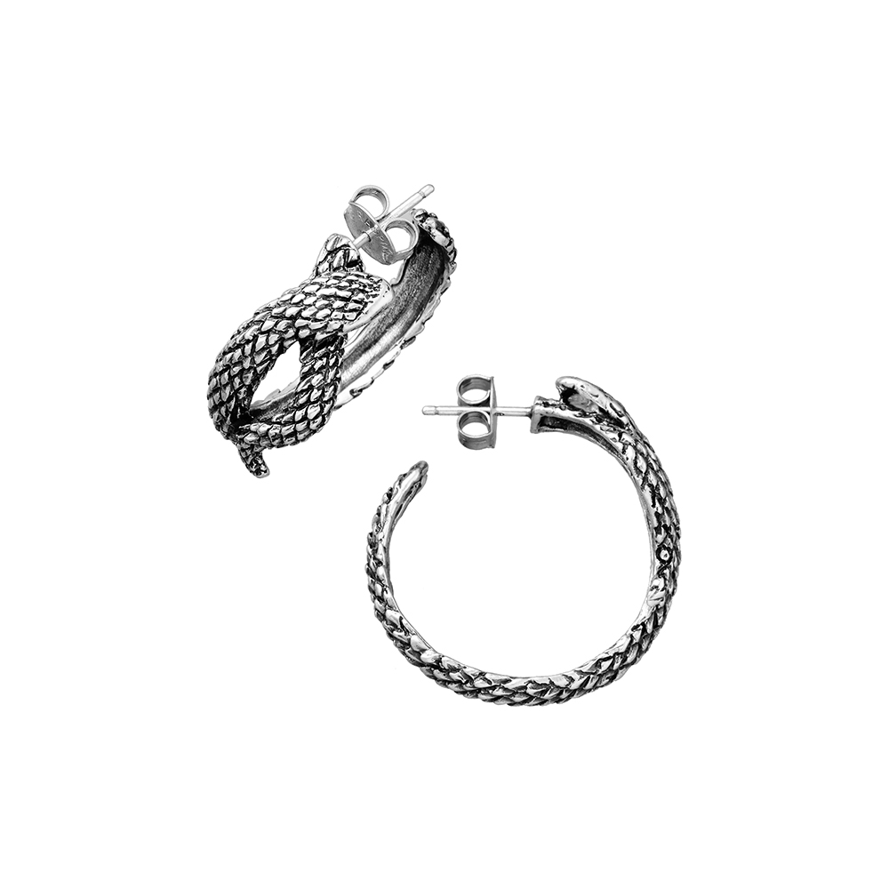 Raspini Jewels Women's Earrings (11258)