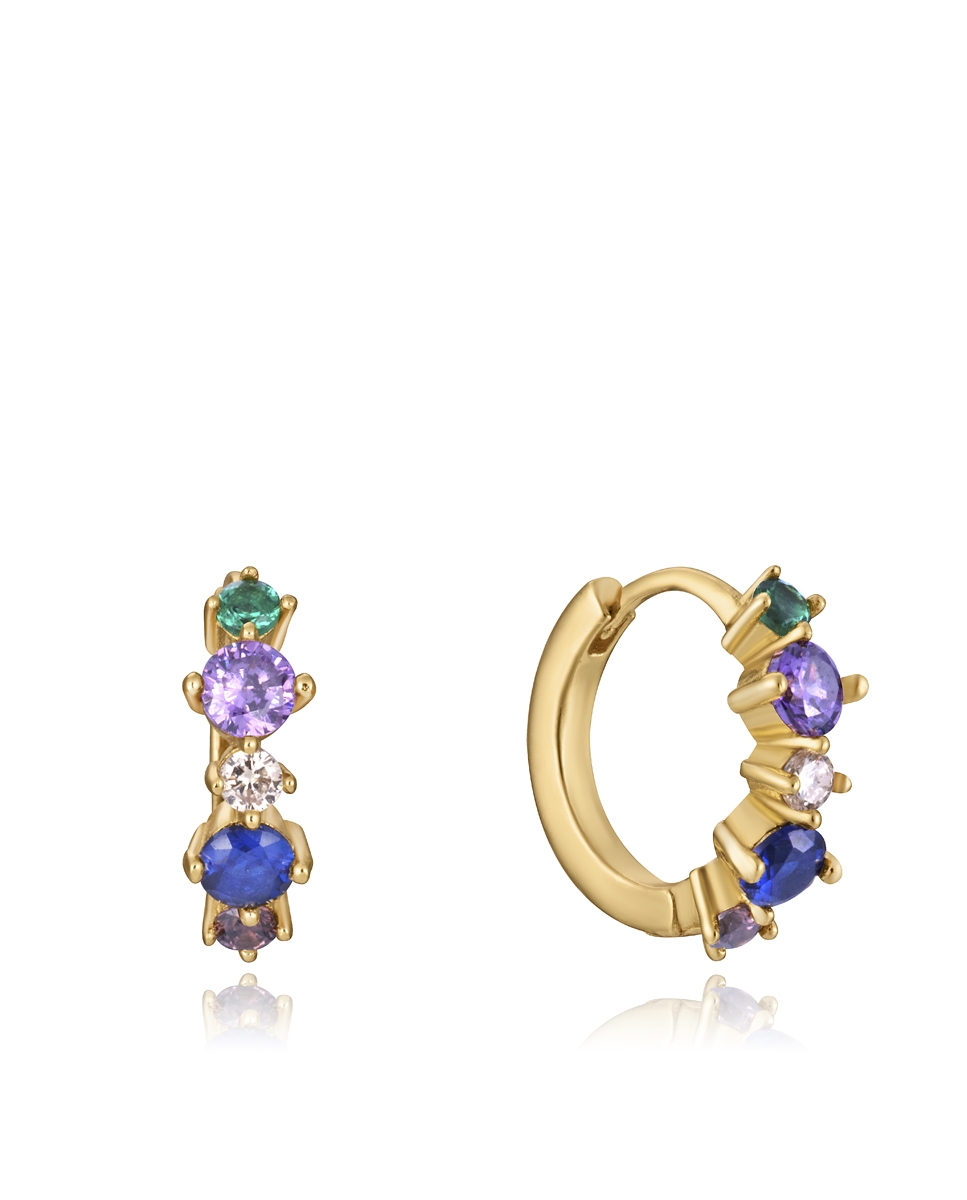Viceroy Jewels Women's Earrings (13097E100-39)