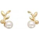 Majorica Jewelry 16585.01.1.000.010.1 (16585-01-1-000-010-1) Unisex JEWELRY