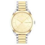 Calvin Klein 25200192 (25200192) Women's Watch