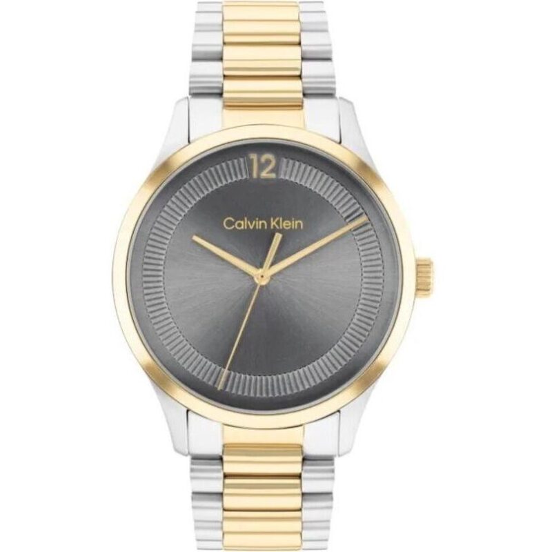 Calvin Klein 25200226 (25200226) Men WATCHES