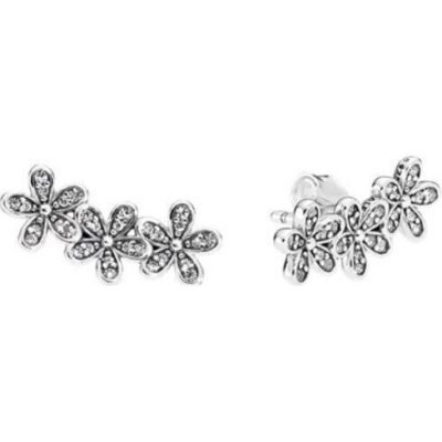 Pandora Jewelry Sparkling Double Hoop Earrings (290744CZ) Women JEWELRY