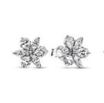 Pandora Jewels Sparkling Herbarium (292633C01) Women's JEWELRY