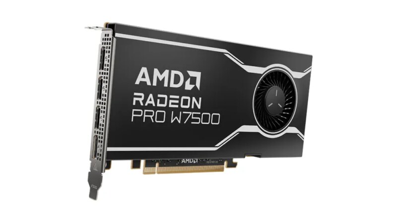 AMD Radeon Pro W7500 - Graphics card - Radeon Pro W7500 - 8 GB GDDR6 - PCIe 4.0 x8 - 4 x DisplayPort 2.1