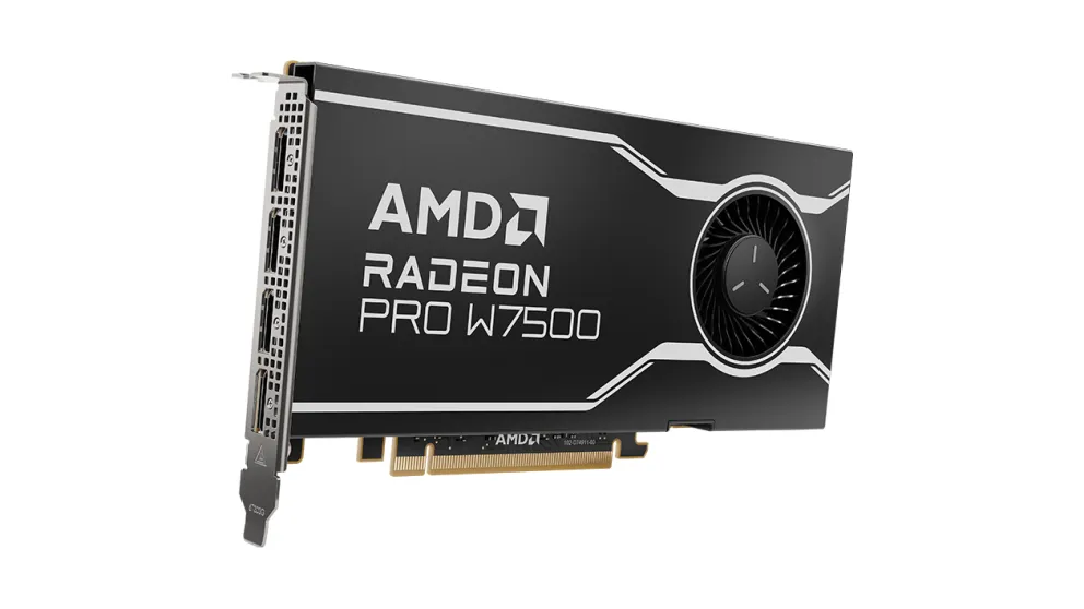 AMD Radeon Pro W7500 - Graphics card - Radeon Pro W7500 - 8 GB GDDR6 - PCIe 4.0 x8 - 4 x DisplayPort 2.1 - Image 2