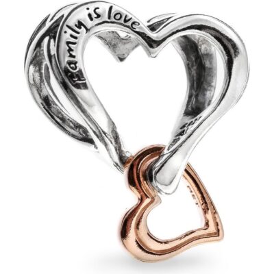 Pandora Jewelry Family Is Love (782642C00) Women JEWELRY