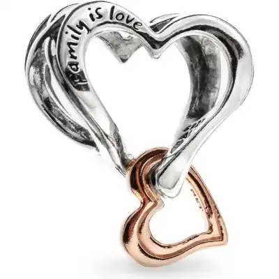 Pandora Jewelry Family Is Love (782642C00) Women JEWELRY