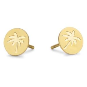 Co88 Collection 8ce-70091 (8CE-70091)  JEWELRY