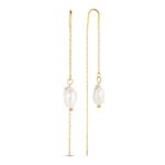 Co88 Collection 8ce-70430 (8CE-70430)  JEWELRY