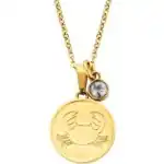 Co88 Collection 8cn-26079 (8CN-26079) Unisex JEWELRY