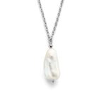 Co88 Collection 8cn-26255 (8CN-26255)  JEWELRY