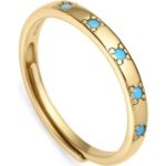 Viceroy Jewels 9119a013-33 (9119A013-33) Women JEWELRY