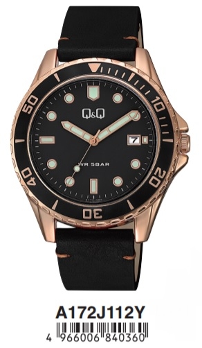 Q&q Gent Date (A172J112Y) Men's Watch
