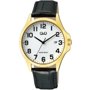 Q&q Gent Date (A480J104Y) Men's Watch
