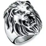 An Jewels Jewelry Aa.alion1-12 (AA-ALION1-12) Unisex JEWELRY