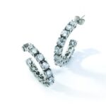 An Jewels Women's Earrings (al-eloy12sc)