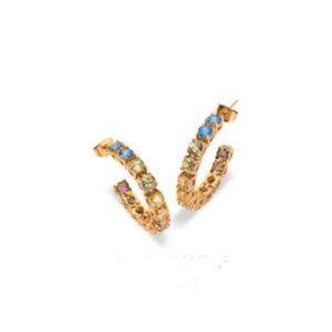 An Jewels Women's Earrings (al-eloy12yf)