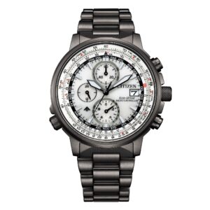 Citizen At8304-57a (AT8304-57A)  Watch