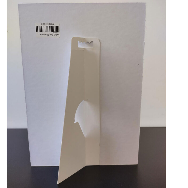 Pepe Jeans adult sun showcard aw21 (adult sun showcard aw21)