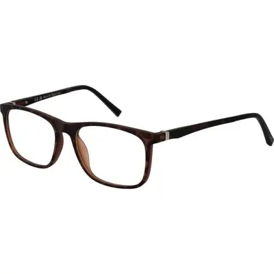 Invu B4213 54b (B4213 54B) Men EYEWEAR