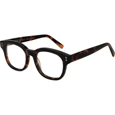 Invu B4302 51b (B4302 51B) Men EYEWEAR