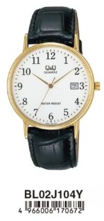 Q&q Lady Date (BL02J104Y) Women's Watch