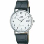 Q&q Gent Date (BL04J304J) Men's Watch