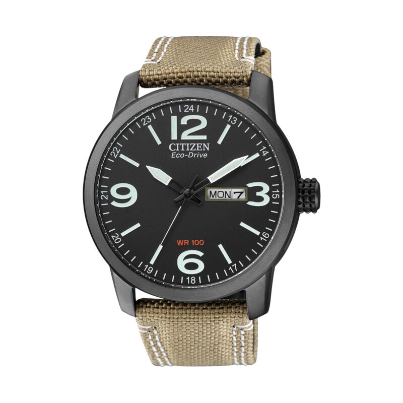 Citizen Bm8476-23e (BM8476-23E)  Watch