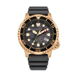 Citizen Bn0163-00h (BN0163-00H)  Watch