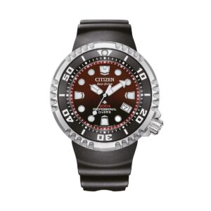Citizen Promaster Diver 300 (BN1024-01Z)  Watch