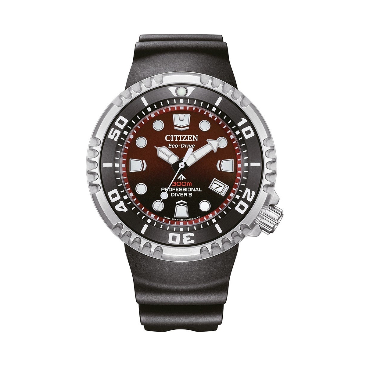 Citizen Promaster Diver 300 (BN1024-01Z) Watch