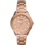 Fossil Dayle Womens Watch (bq3596)