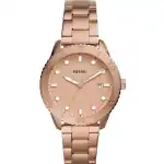 Fossil Dayle (BQ3596) Women WATCHES