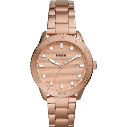 Fossil Dayle (BQ3596) Women WATCHES