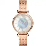 Fossil Bq3820 (BQ3820) Women WATCHES