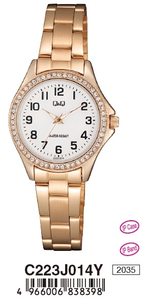 Q&q Lady Only Time (C223J014Y) Women's Watch