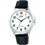Q&q Gent Only Time (C36A-013PY) Men WATCHES