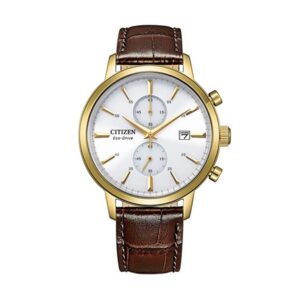 Citizen Men's Watch (CA7062-15A)