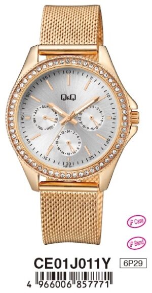 Q&q Lady Digital Day Data 24h (CE01J011Y) Women's Watch