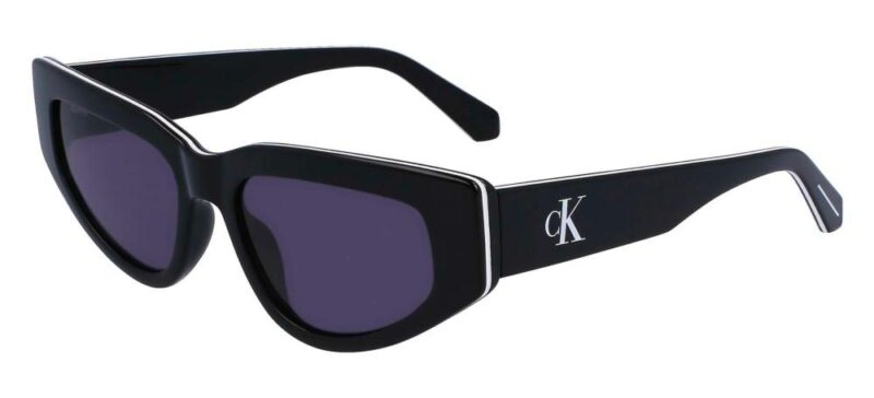 Calvin Klein Women's Sunglasses (CKJ23603S_001 K_53)