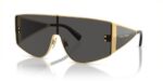 Dolce & Gabbana Sunglasses for Men (DG 2305_02-87_44)